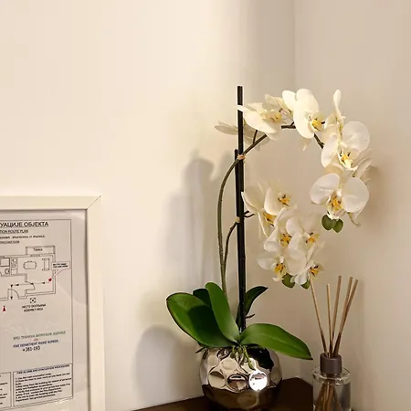 Lejlighed Mars Vrnjačka Banja