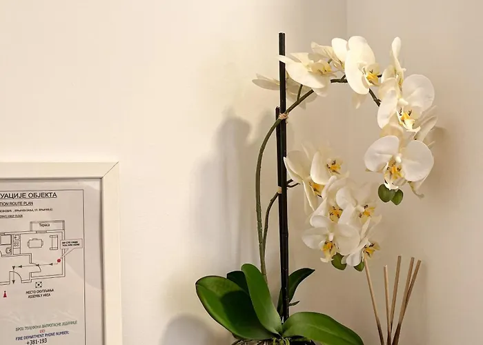 Appartement Mars Vrnjačka Banja